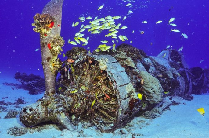 14102690_10208938761080792_804304774221973566_n[1]