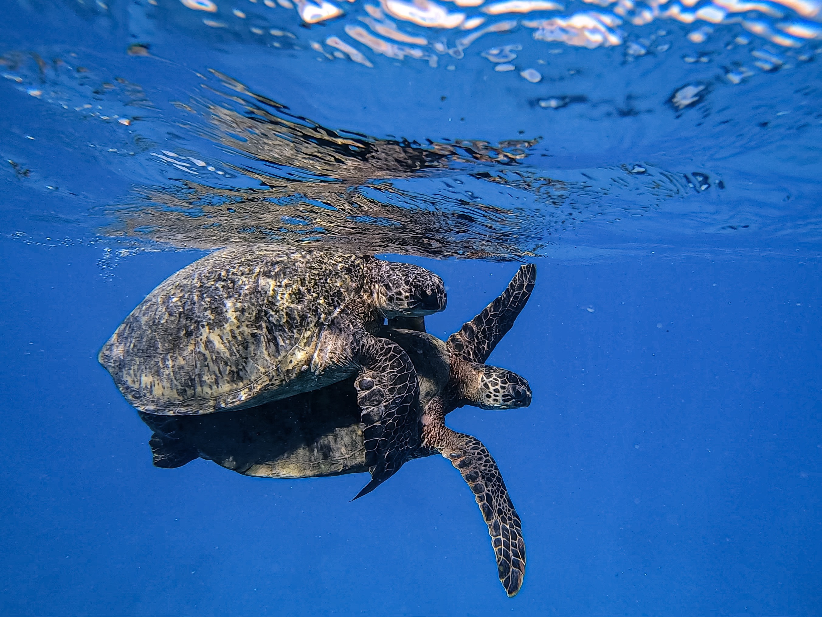 photo nov 11, 16 19 28